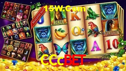 Experimente o Login Seguro Premium no CCcbet